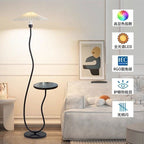 Vintage-style floor lamp ambiance, living room sofa, several high-end bedroom storage racks, standing desk lamp with artistic touch