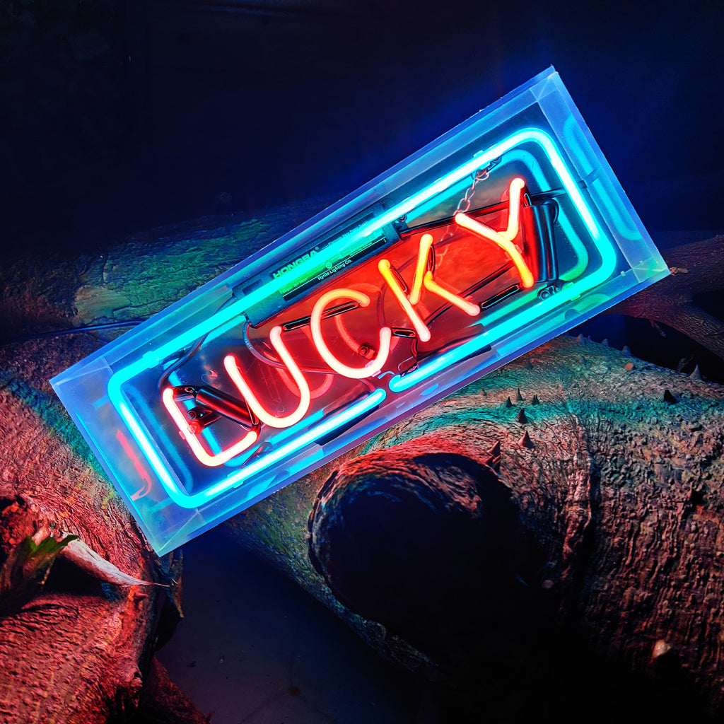 Custom Neon Glass Light Box | Acrylic Indoor Sign for Home, Shop & Studio